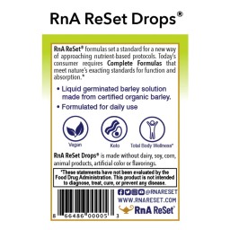 RnA ReBob